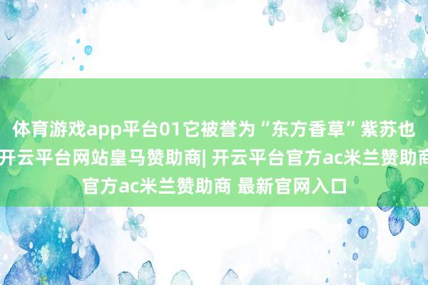 体育游戏app平台01它被誉为“东方香草”紫苏也叫红苏、赤苏-开云平台网站皇马赞助商| 开云平台官方ac米兰赞助商 最新官网入口